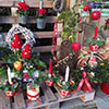 Weihnachtliche Gestecke