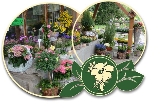 Reichhaltiges Angebot an Schnittblumen sowie Beet-, Balkon- und Topfpflanzen, aber auch Bodendeckern und immergrünen Gehölzen